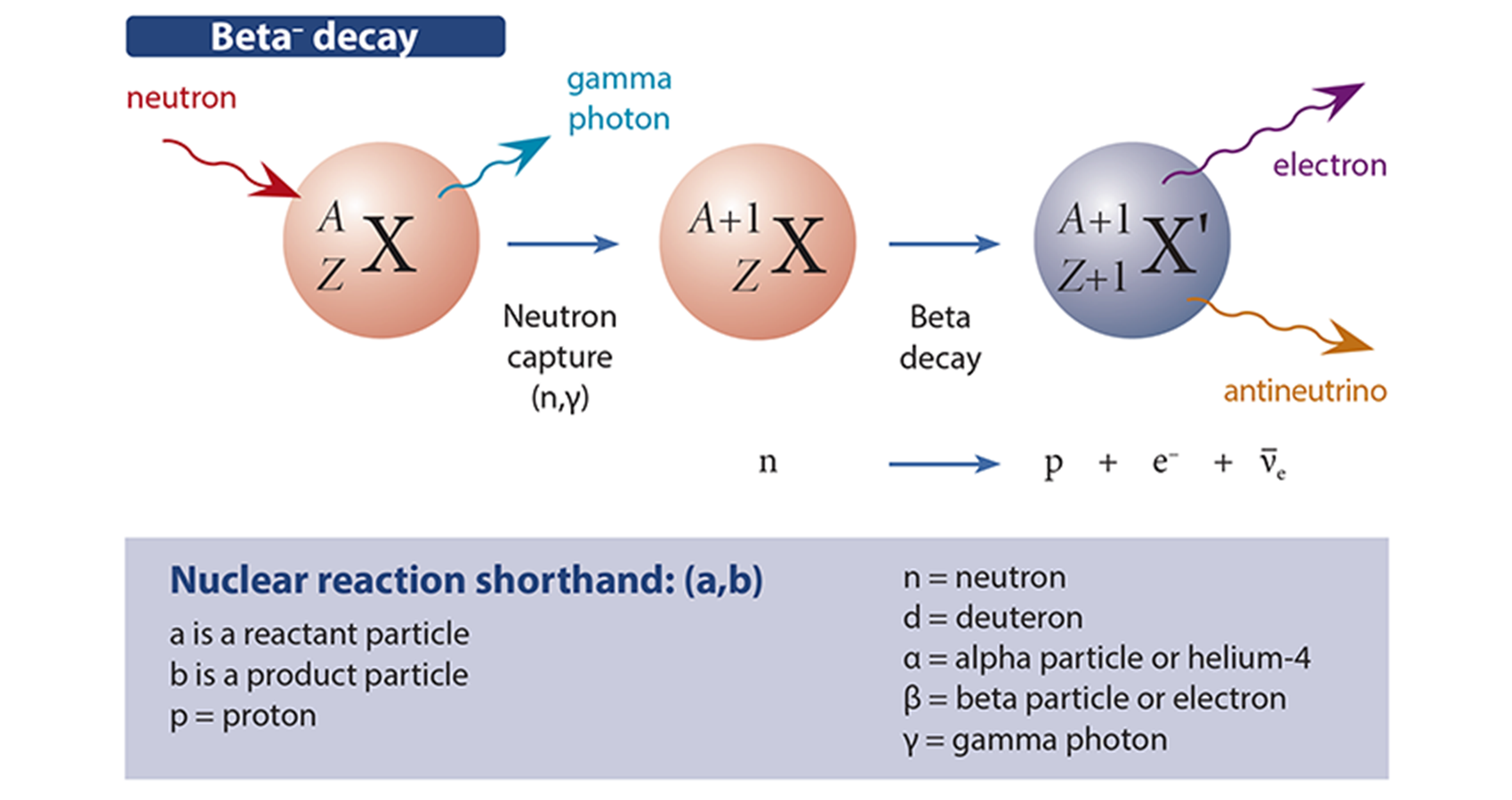 A diagram showing Beta- decay.